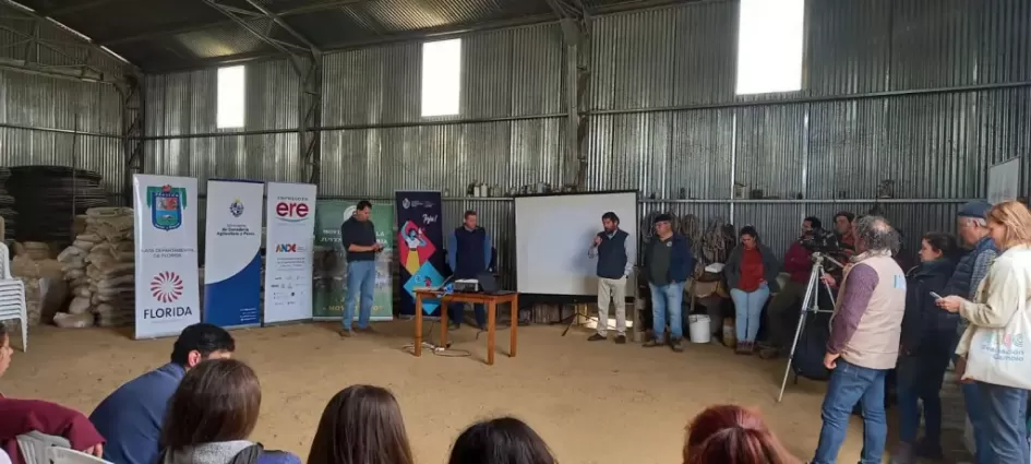 Jornada ovinos ´´