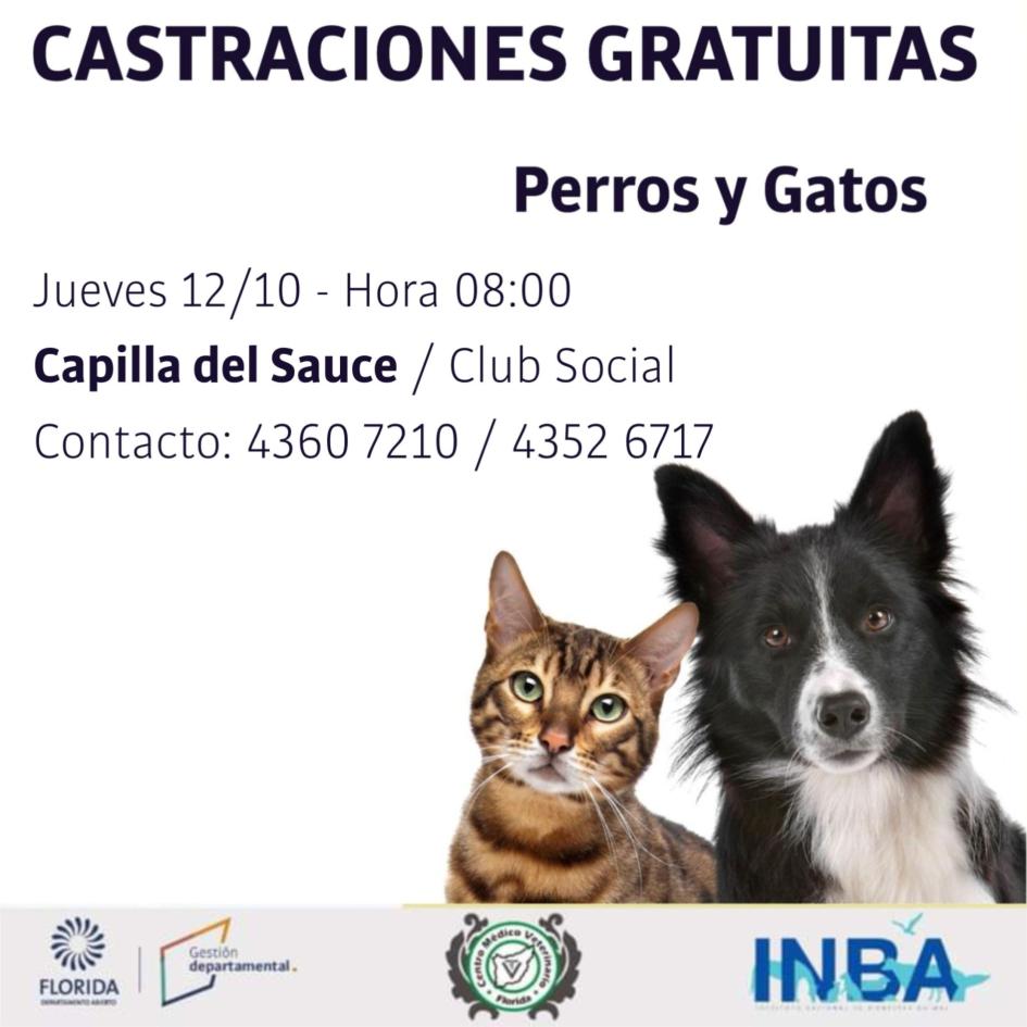 Castraciones gratuitas, Capilla del Sauce ´´