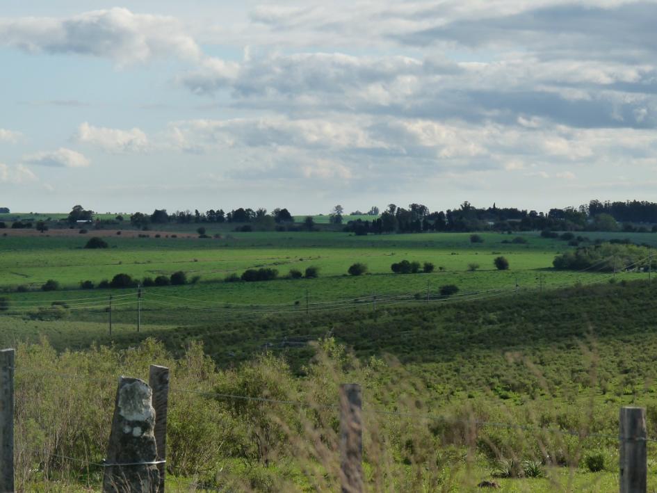 Vencimiento de la 4ta. cuota de la contribución inmobiliaria rural