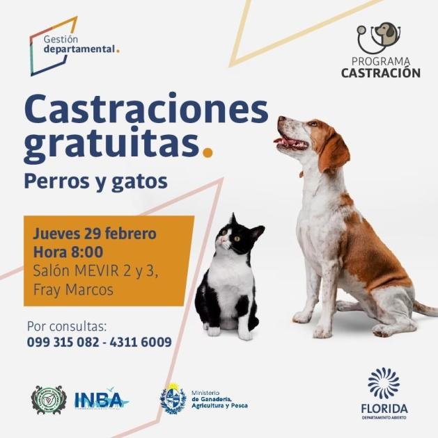 Castraciones gratuitas de canes y felinos ´´