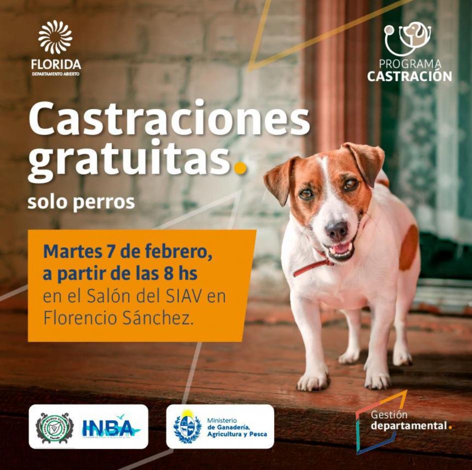 Castraciones gratuitas ´´