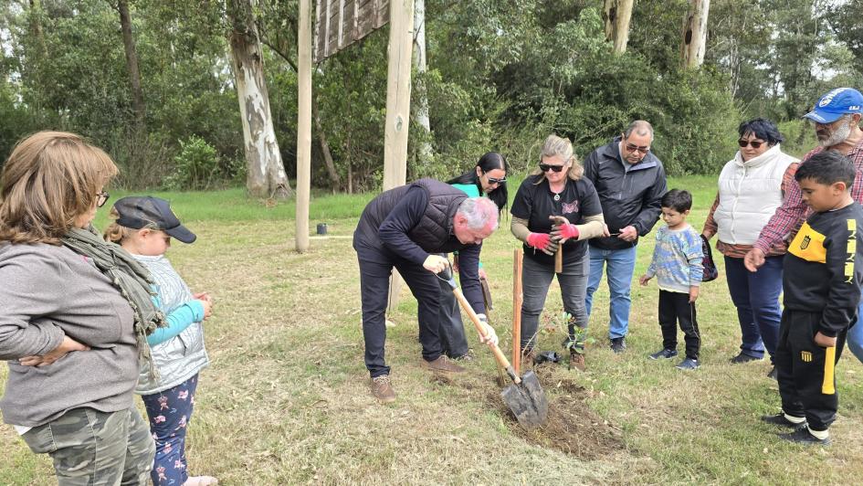 Plantacion de árboles ´´
