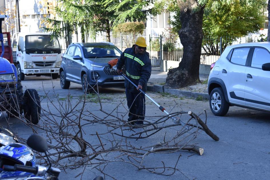 Trabajos en espacios públicos de capital en interior Trabajos en espacios públicos de capital en interior