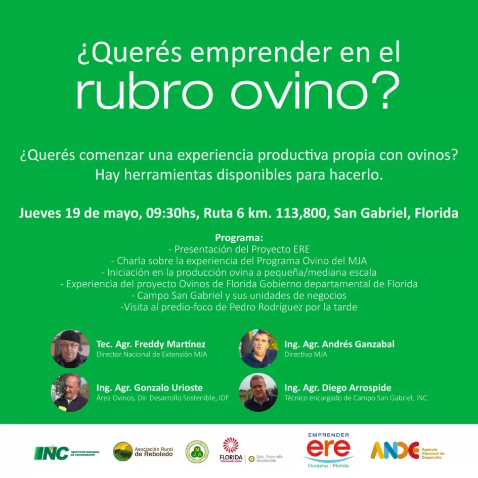 Emprendimiento rubro ovino ´´