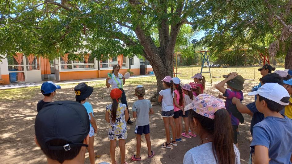 Verano educativo ´´