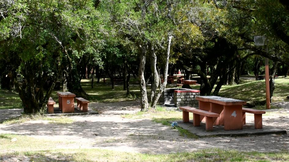 Parque Robaina Parque Robaina