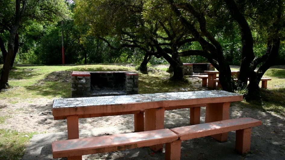 Parque Robaina Parque Robaina