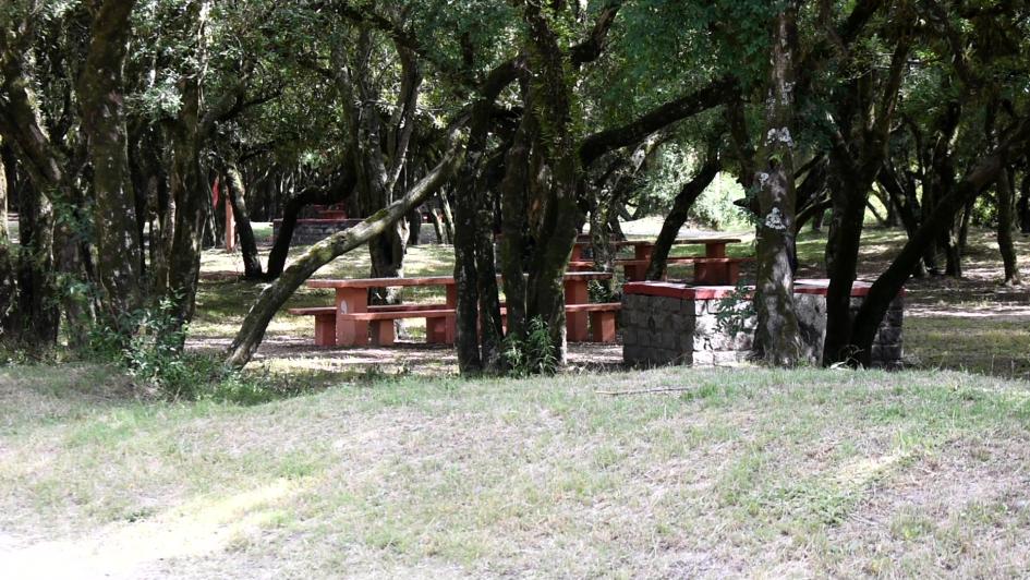 Parque Robaina Parque Robaina