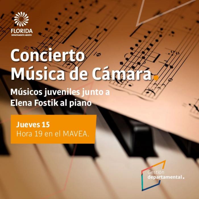 Concierto de Cámara en el MAVEA Concierto de Cámara en el MAVEA
