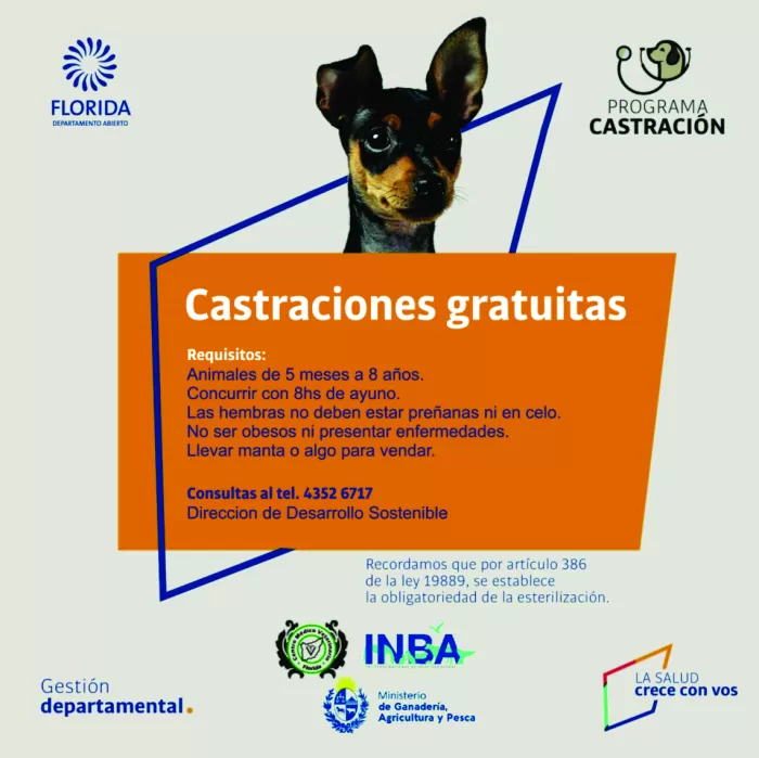 Afiche de Castraciones 