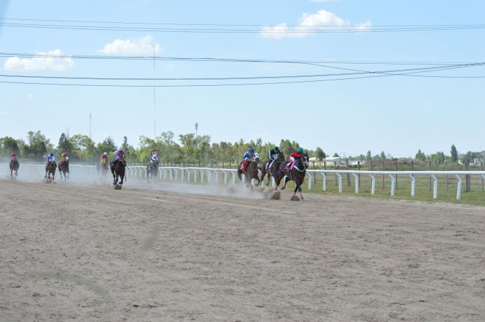 Carreras en Hipodromo ´´