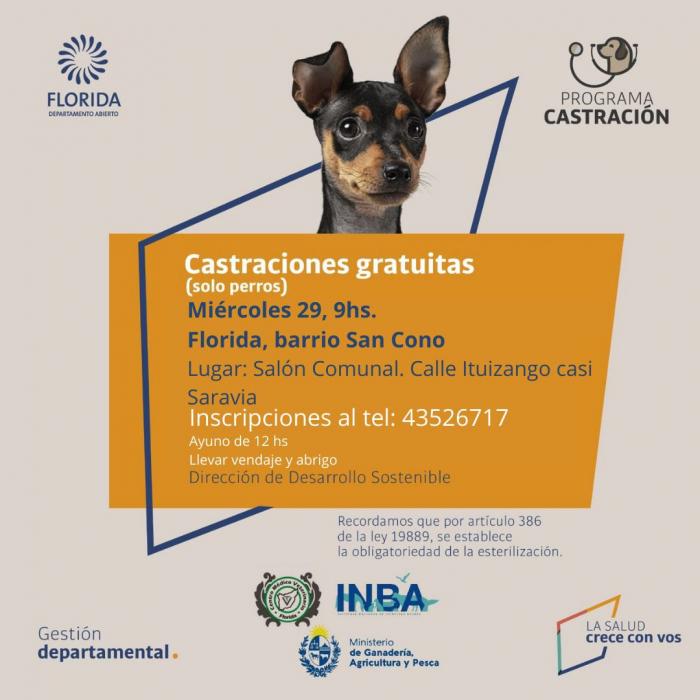 programa castración canes