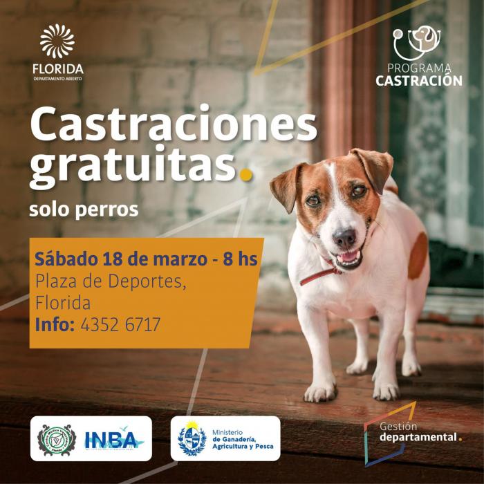 jornada de castraciones