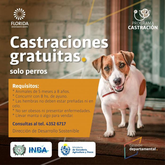 Continúa programa de castración de canes