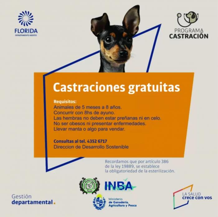 Programa de castraciones