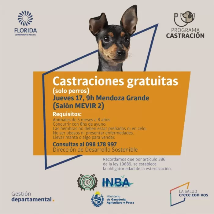 Castraciones en Mendoza Grande ´´