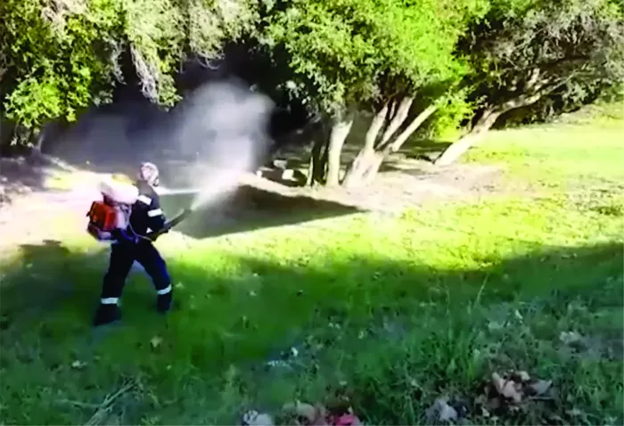 Fumigación en el parque