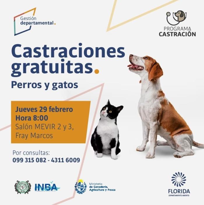 Castraciones gratuitas de canes y felinos ´´