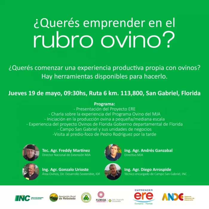 Emprendimiento rubro ovino ´´