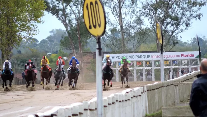 Diez carreras en el Irineo Leguisamo