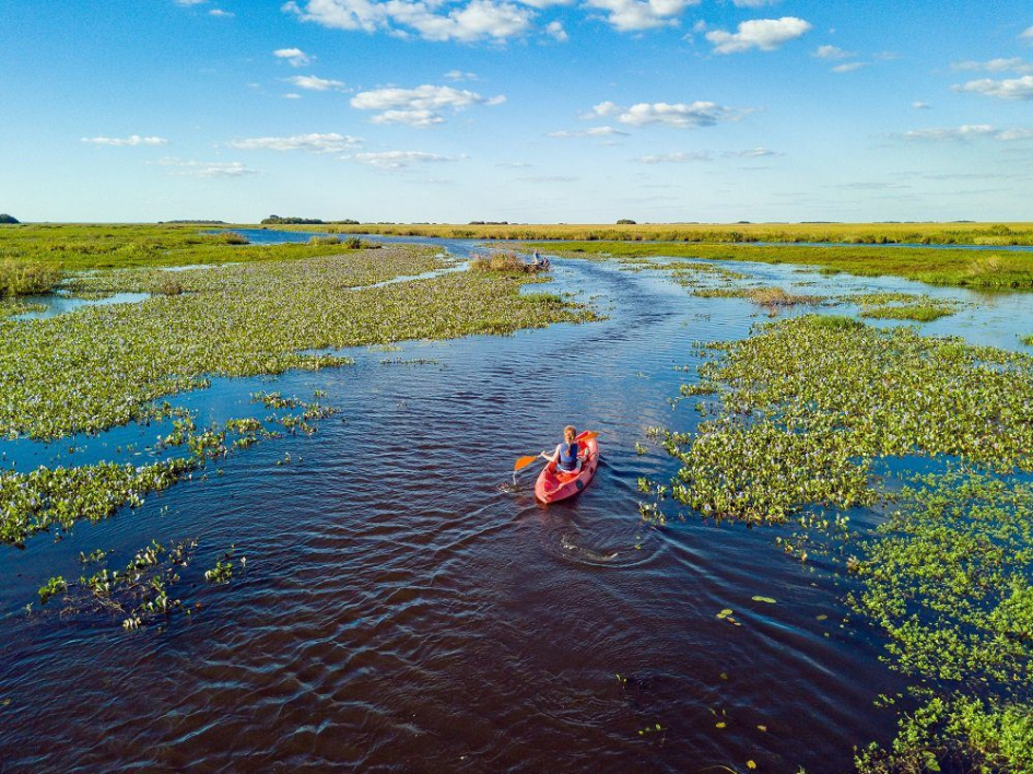 Parque Iberá, en Corrientes, Argentina
