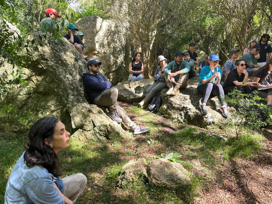 Recorrida por el monte de ombúes del Cerro Arequita junto a geólogas Recorrida por el monte de ombúes del Cerro Arequita junto a geólogas