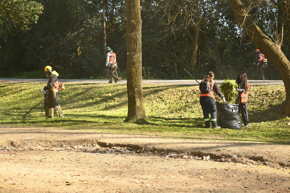 Comunidad en Movimiento: la intendencia refuerza su presencia en el barrio La Plata de Minas Comunidad en Movimiento: la intendencia refuerza su presencia en el barrio La Plata de Minas