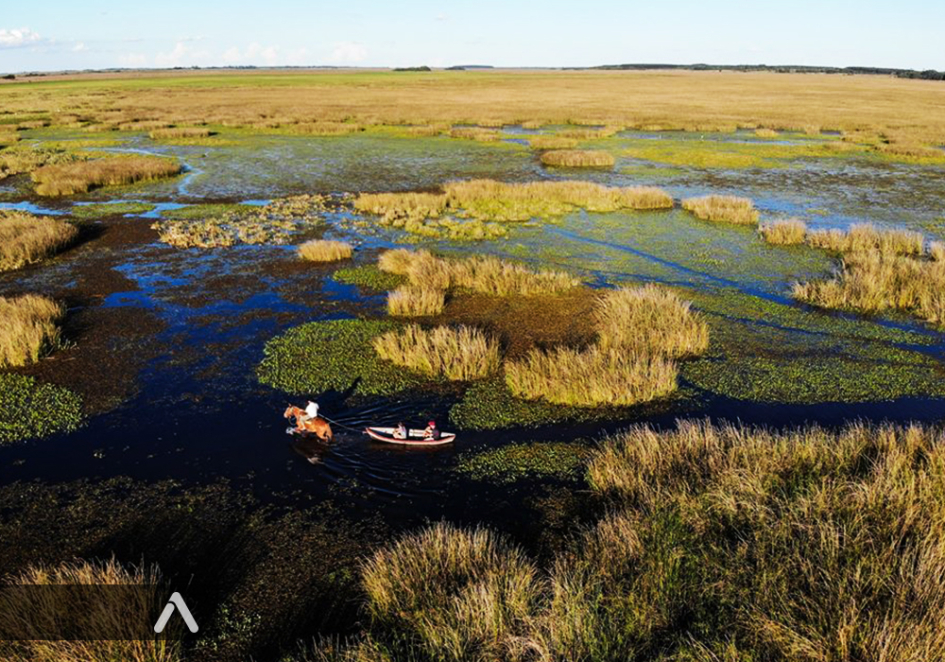 Parque Nacional Ibirá, en Corrientes, Argentina