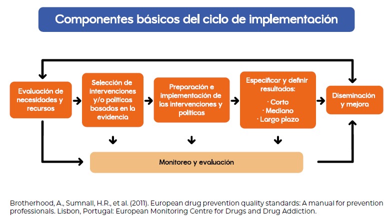 Componentes básicos del ciclo de implementación