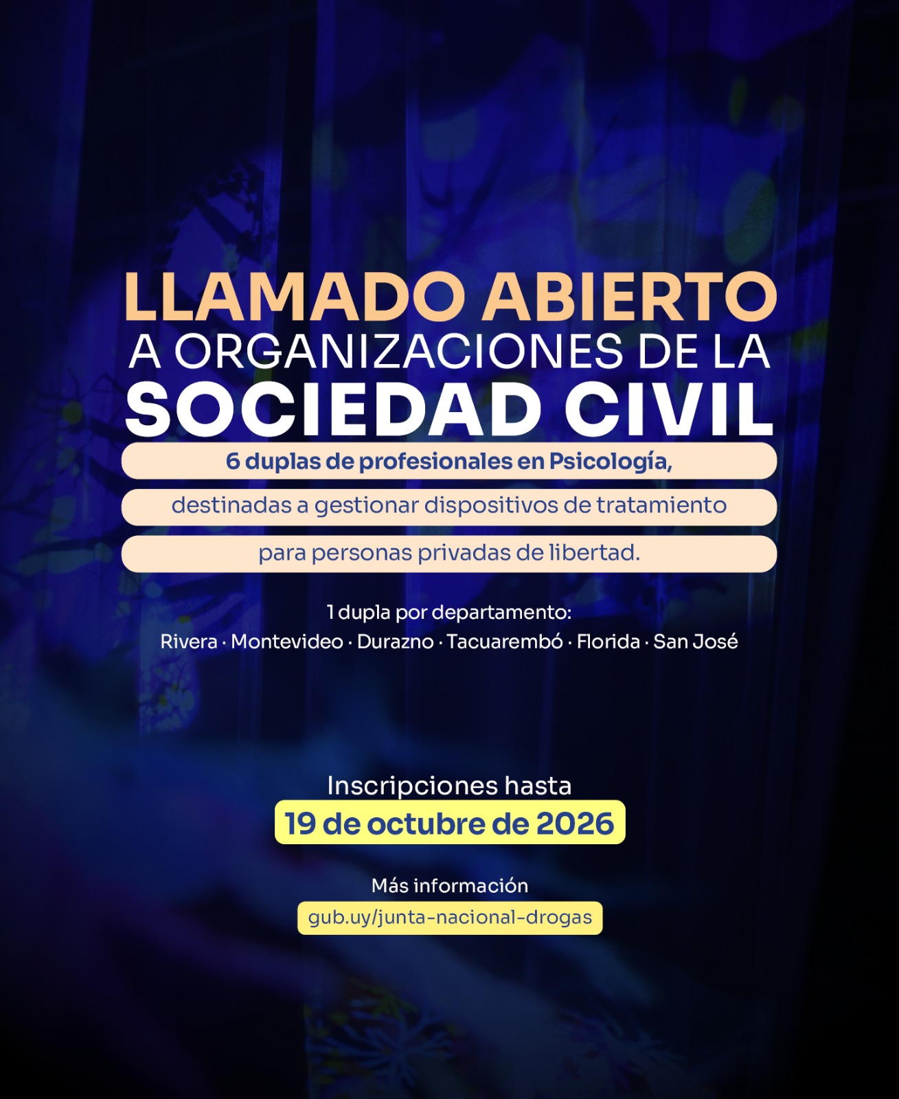 flyer del llamado