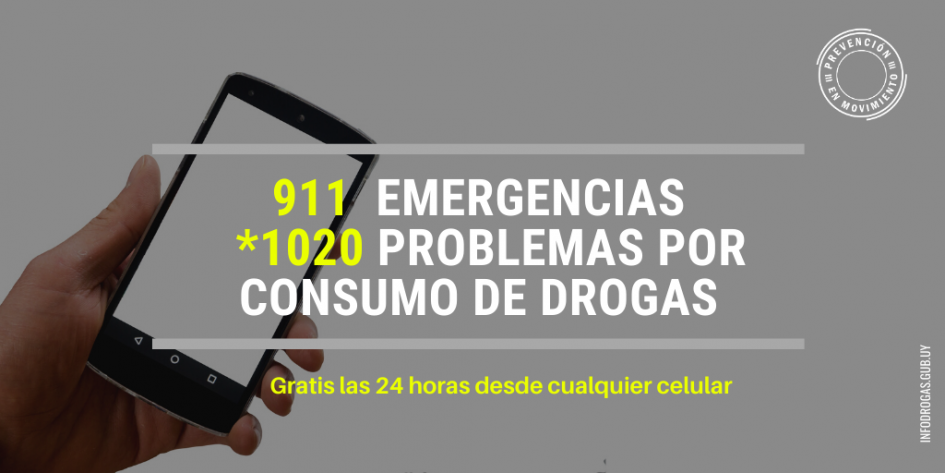 Arte - Celular Campaña