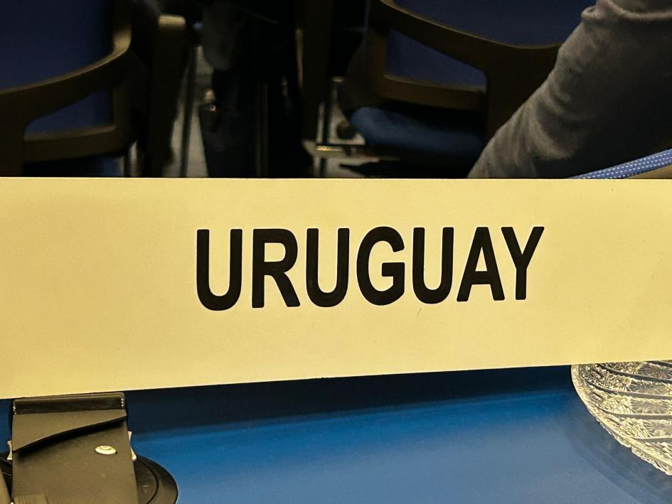 68° Plenario UNODC en Viena General evento