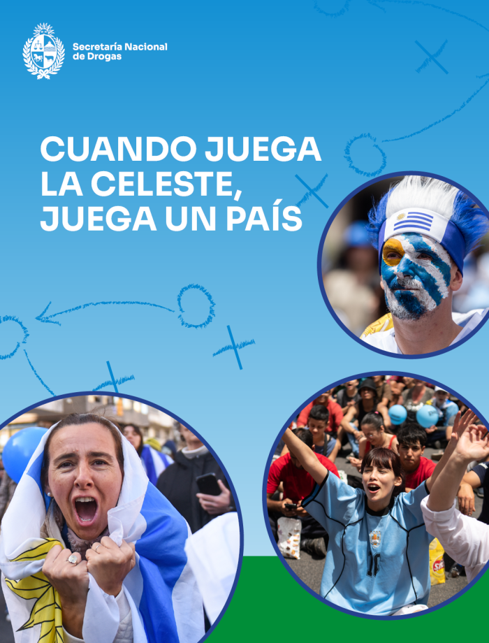 Placa de redes Portada