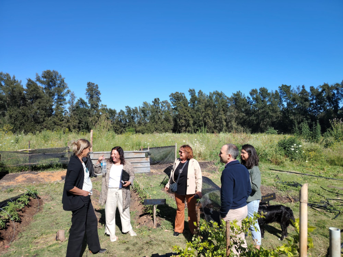 participantes Participantes 2