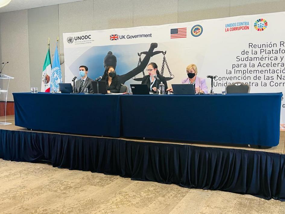 Reunión regional de la plataforma de Sudamérica y México Reunión regional de la plataforma de Sudamérica y México