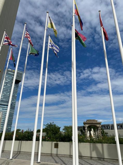 Convención de las Naciones Unidas contra la Corrupción - Viena 2024 Convención de las Naciones Unidas contra la Corrupción - Viena 2024