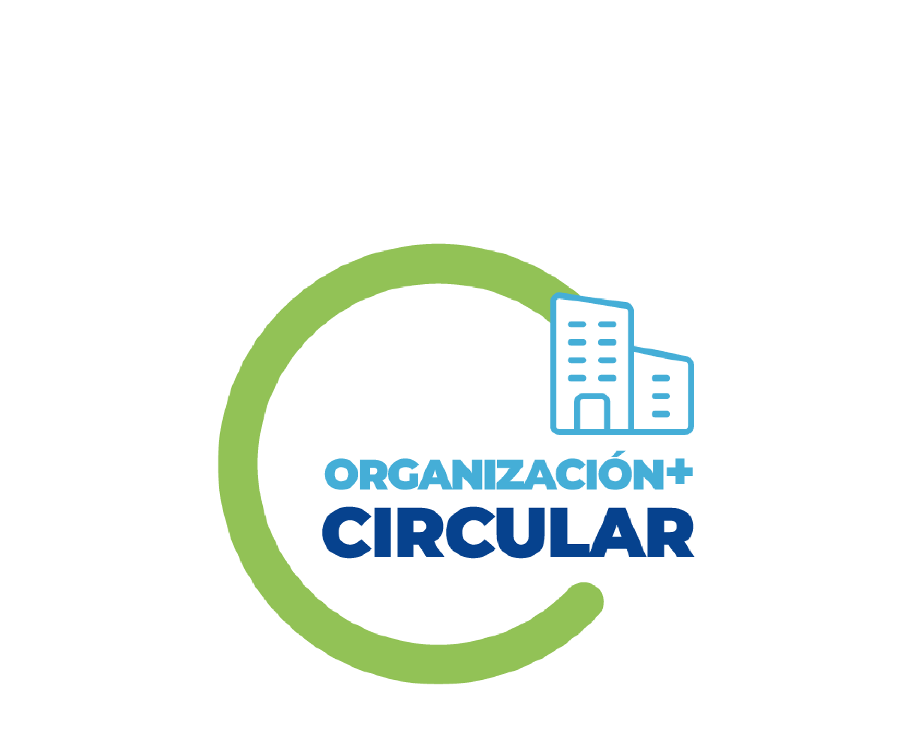 organización
