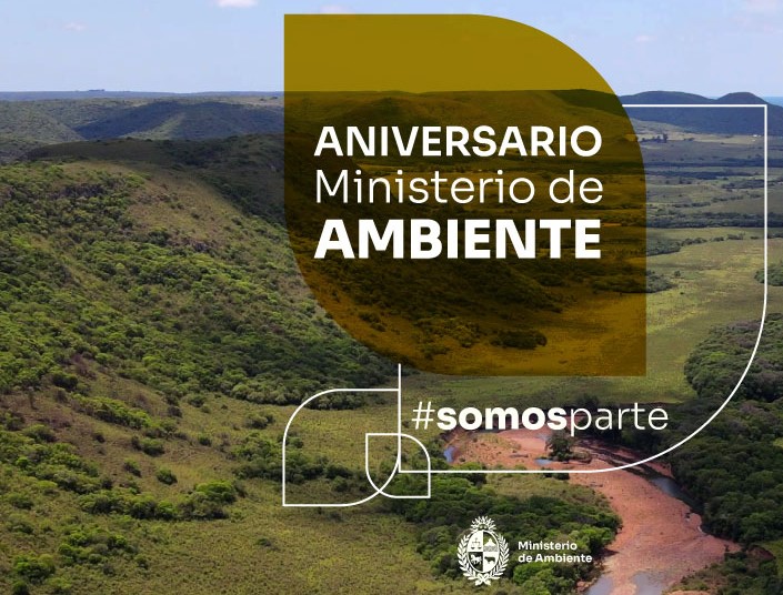 5 años