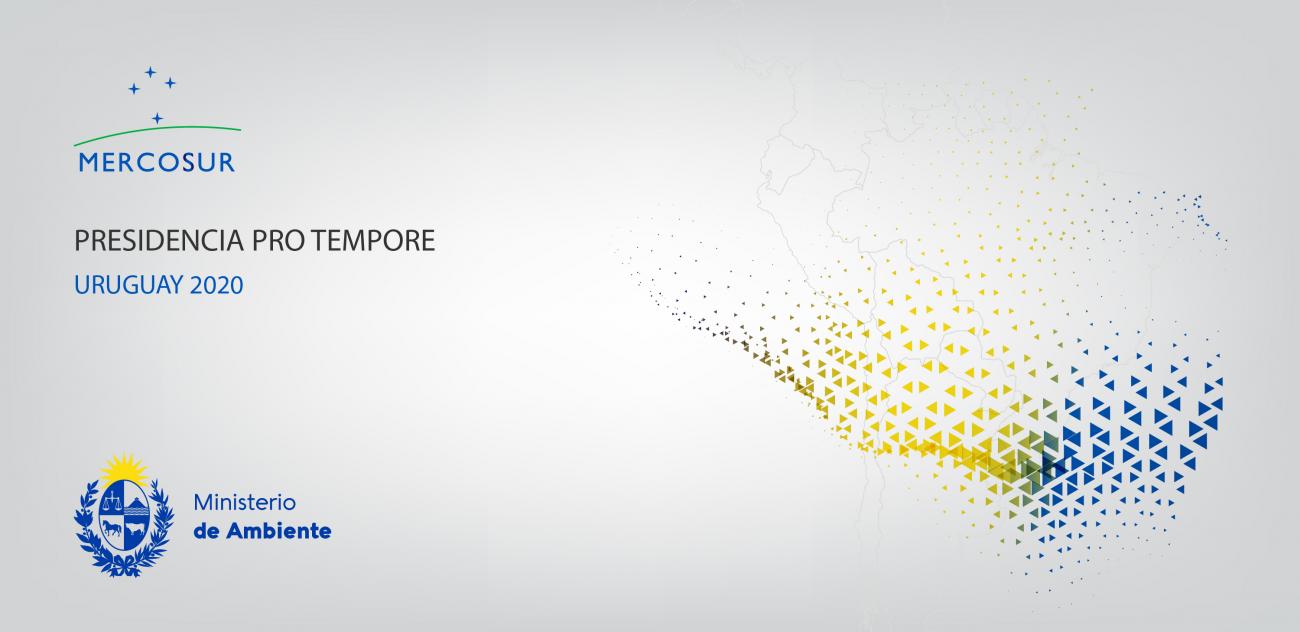 Reuniones Mercosur y Estados Asociados Imagen de la Reuniones Mercorur 2020