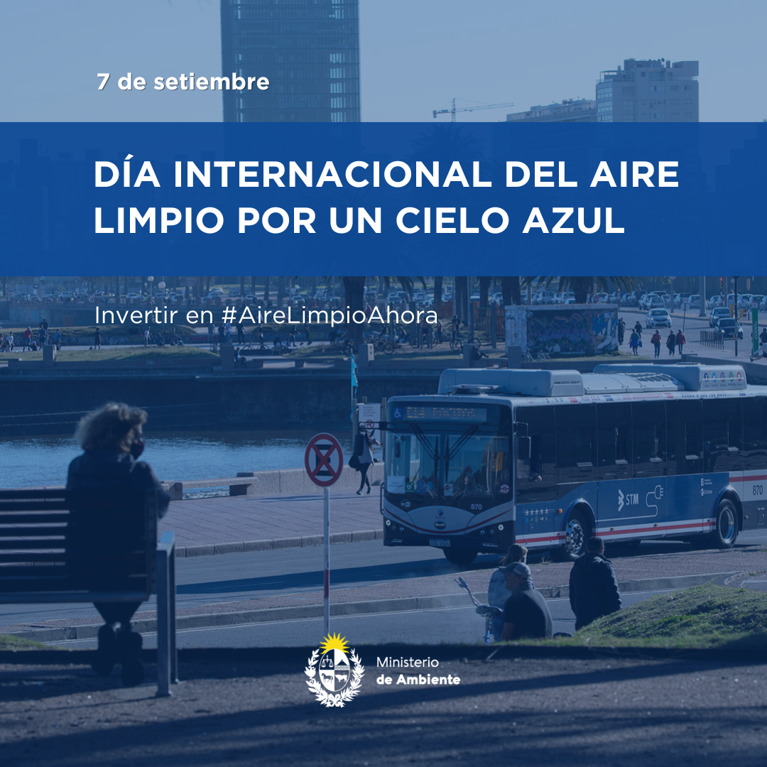 Placa Día Internacional del Aire Limpio