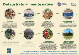 Infografía: Del sustrato al monte natuvo