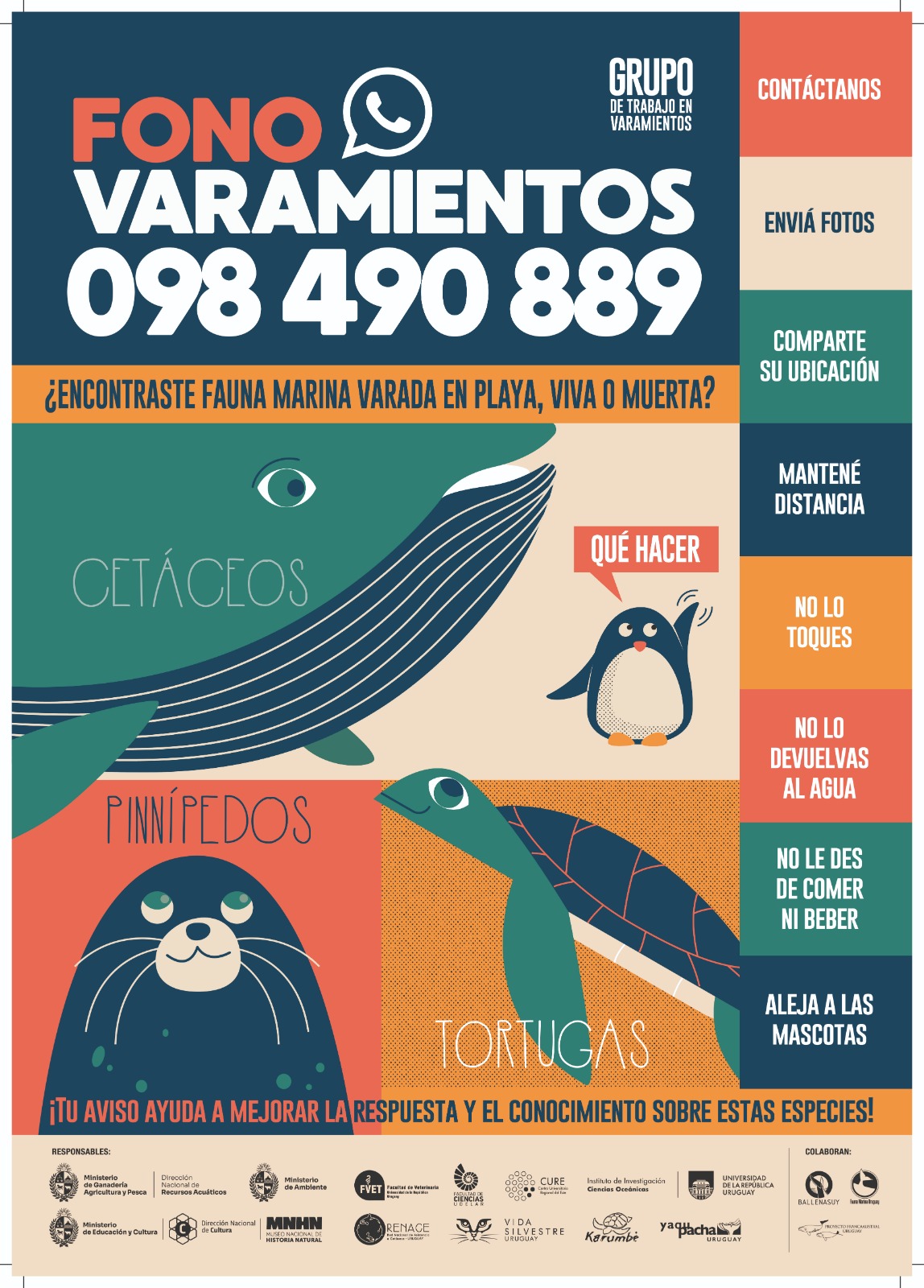 Fono Varamientos