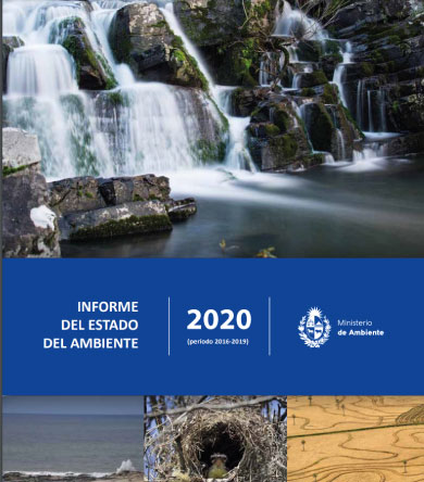 Informe del Estado del Ambiente 2020