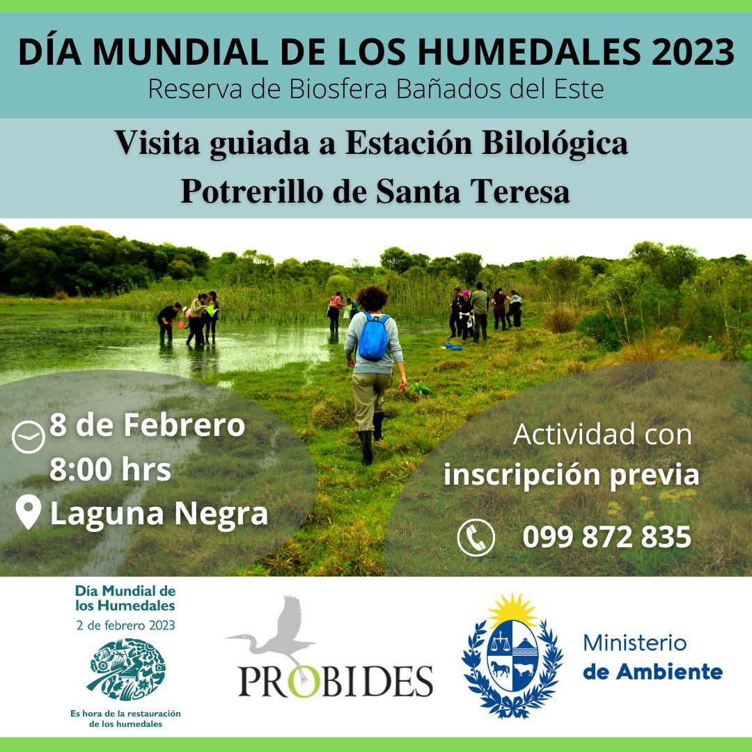 Visita
