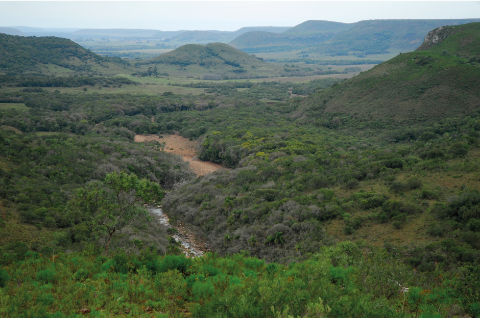 Foto Valle del Lunarejo