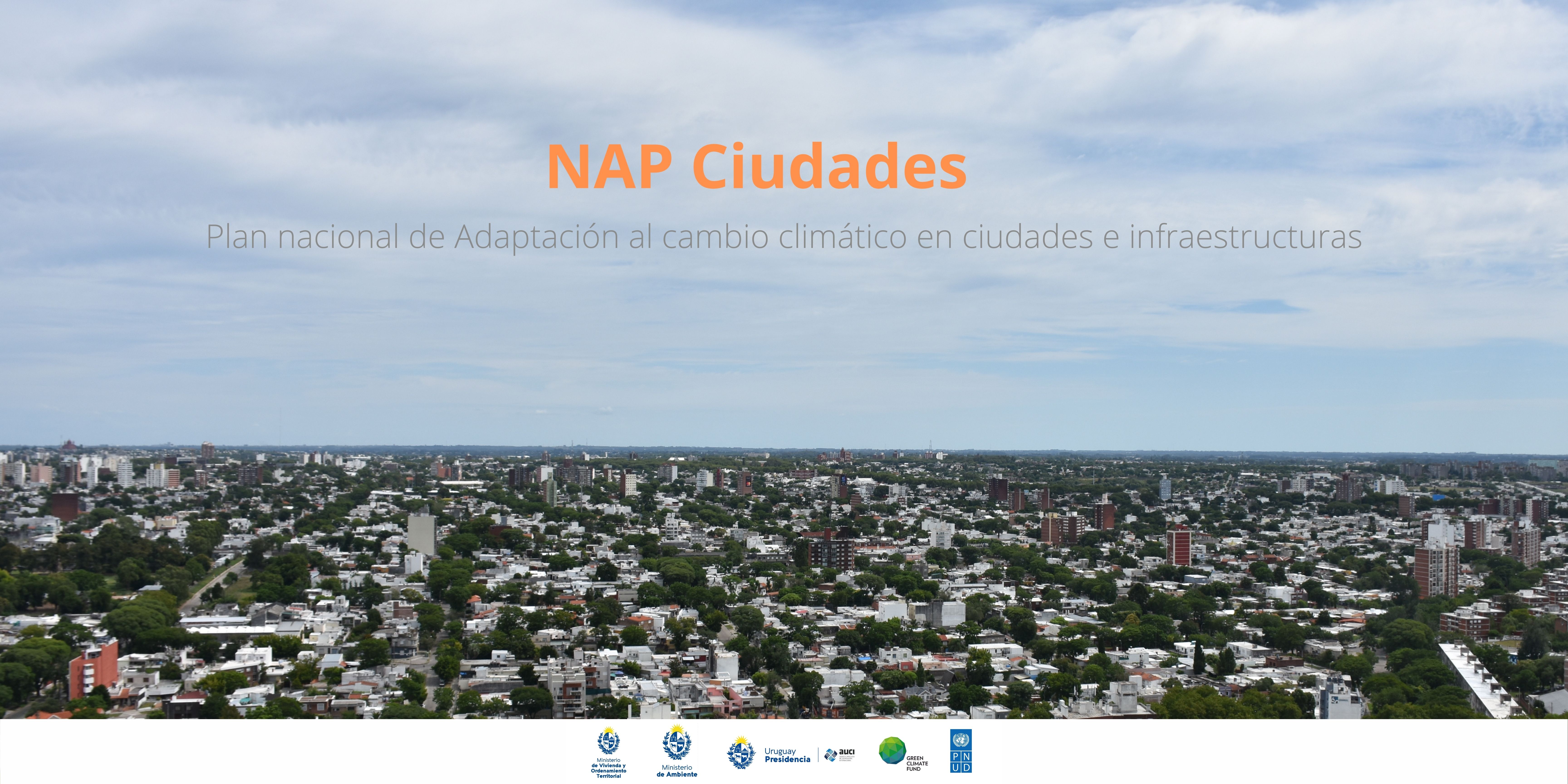 NAP Ciudades