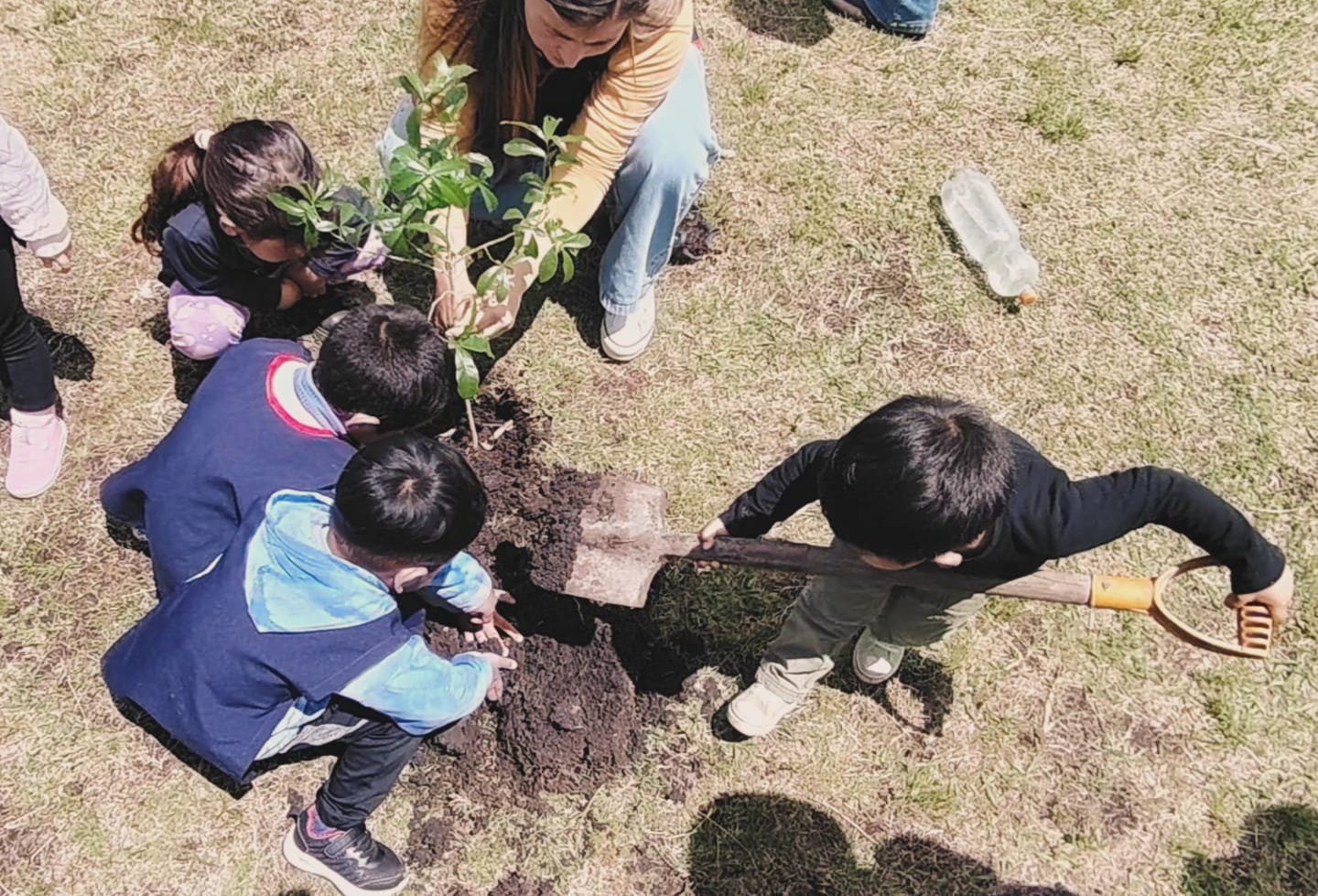 trabajo niños