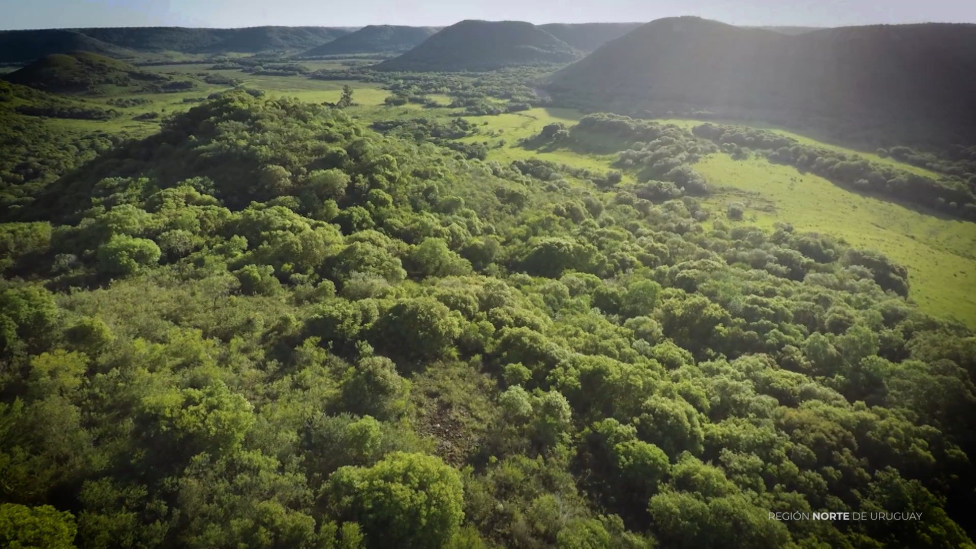 bosques