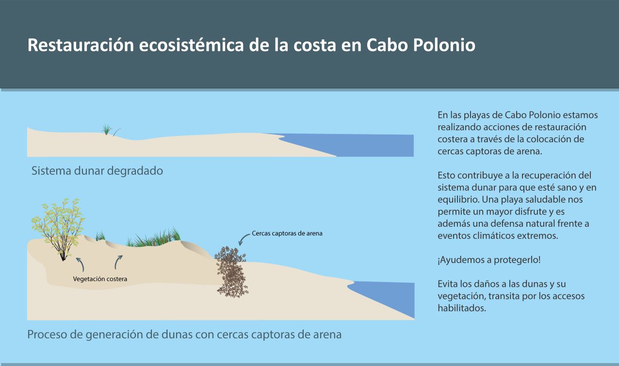 Restauración Dunar Cabo Polonio