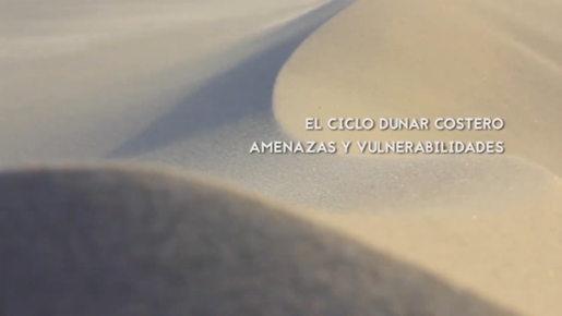 ciclo